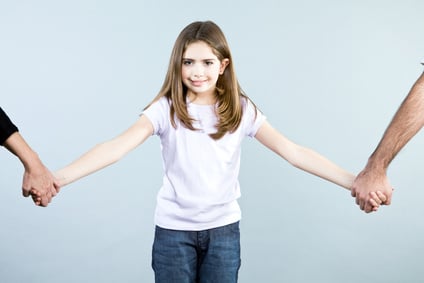 Petrucelli Mediation