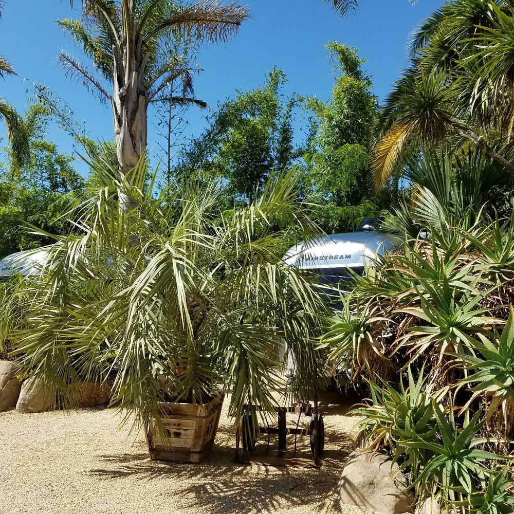 Caravan Outpost - Peek-a-boo Airstreams. - Hotels Near Me - Ojai, California