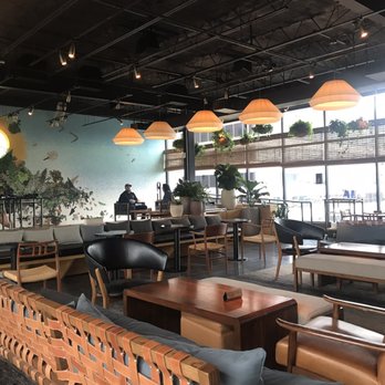 Wild Days - Inside. - Cocktail Bars Near Me - Washington, DC, District of Columbia
