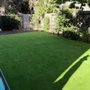 Turf World