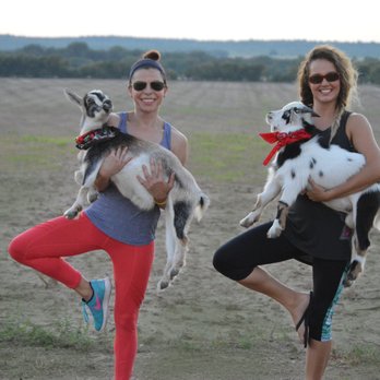 Farm Yoga - Farm Yoga at the Medina River Winery in October 2017 - Yoga Near Me Farm Yoga - Farm Yoga at the Medina River Winery in October 2017 - Yoga Near Me