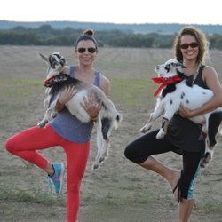 Farm Yoga - Farm Yoga at the Medina River Winery in October 2017