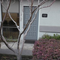 Valley Esthetics Dental Group