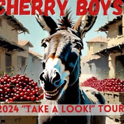 Coachellos - Free Donkey rides tonight. No experience necessary.