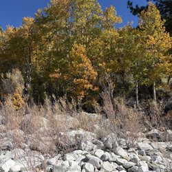 June Lake Beach