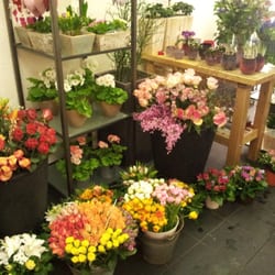 blumen dittmann