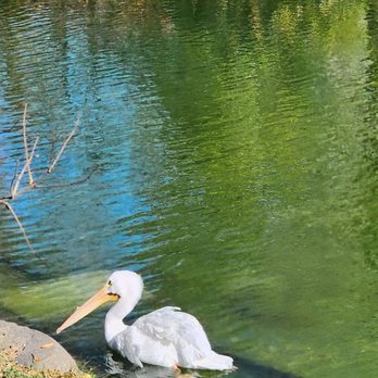 Edmonton Valley Zoo - Zoos Near Me - Edmonton, Alberta