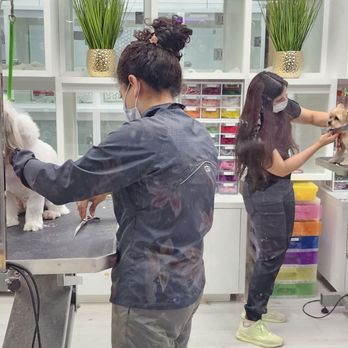 Joni Grooming Spa & Boutique - Pet Groomers Near Me - Boca Raton, Florida