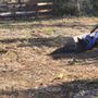 Chuck and a Tractor Bush Hogging Service
