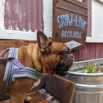 Snow-Line Orchard - Dog friendly - Fruits & Veggies Near Me - Oak Glen, California Snow-Line Orchard - Dog friendly - Fruits & Veggies Near Me - Oak Glen, California