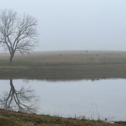 Serenity Retreat - Foggy morning reflection at the retreat center