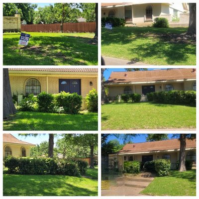 Lawn Services - Before and After Lawn Services Mowing, Edging, Weedeating and Shrubs Trimmed.