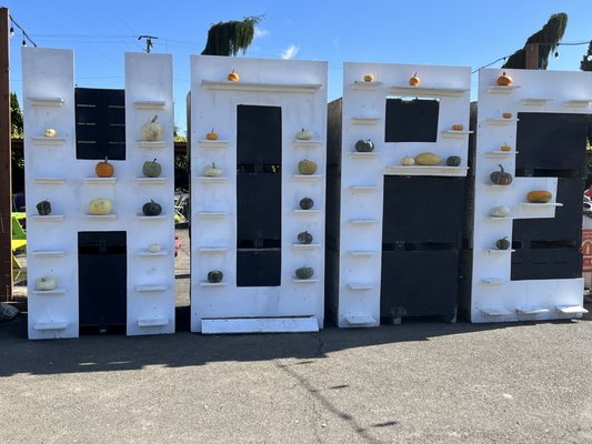 Bella Organic Farm by null