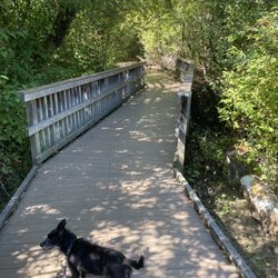 Happy Valley Park - Boardwalk over a wetland area, kinda maze-like