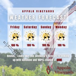 Appolo Vineyards - Open Labor Day Weekend!