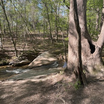 Mill Bridge Nature Park - Parks Near Me - Rolesville, North Carolina Mill Bridge Nature Park - Parks Near Me - Rolesville, North Carolina