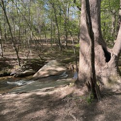 Mill Bridge Nature Park