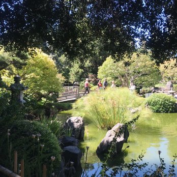 Japanese Gardens - Beautiful bridges. - Parks Near Me - San Mateo, California Japanese Gardens - Beautiful bridges. - Parks Near Me - San Mateo, California