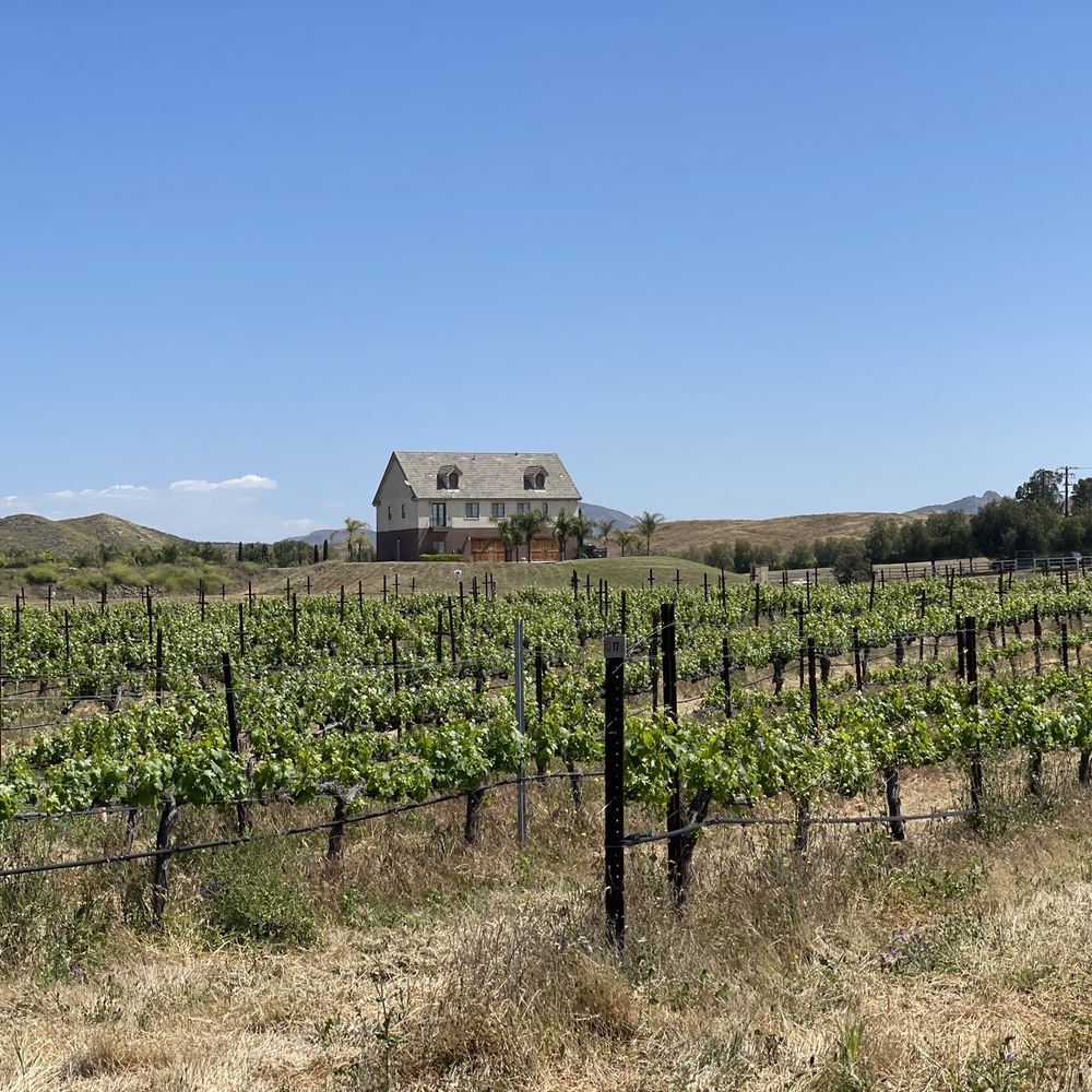 Temecula Carriage Company - Wine vines - Wine Tours Near Me - Temecula, California Temecula Carriage Company - Wine vines - Wine Tours Near Me - Temecula, California