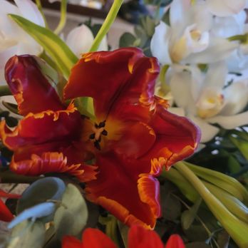 Florian - Florists Near Me - Prescott, Arizona