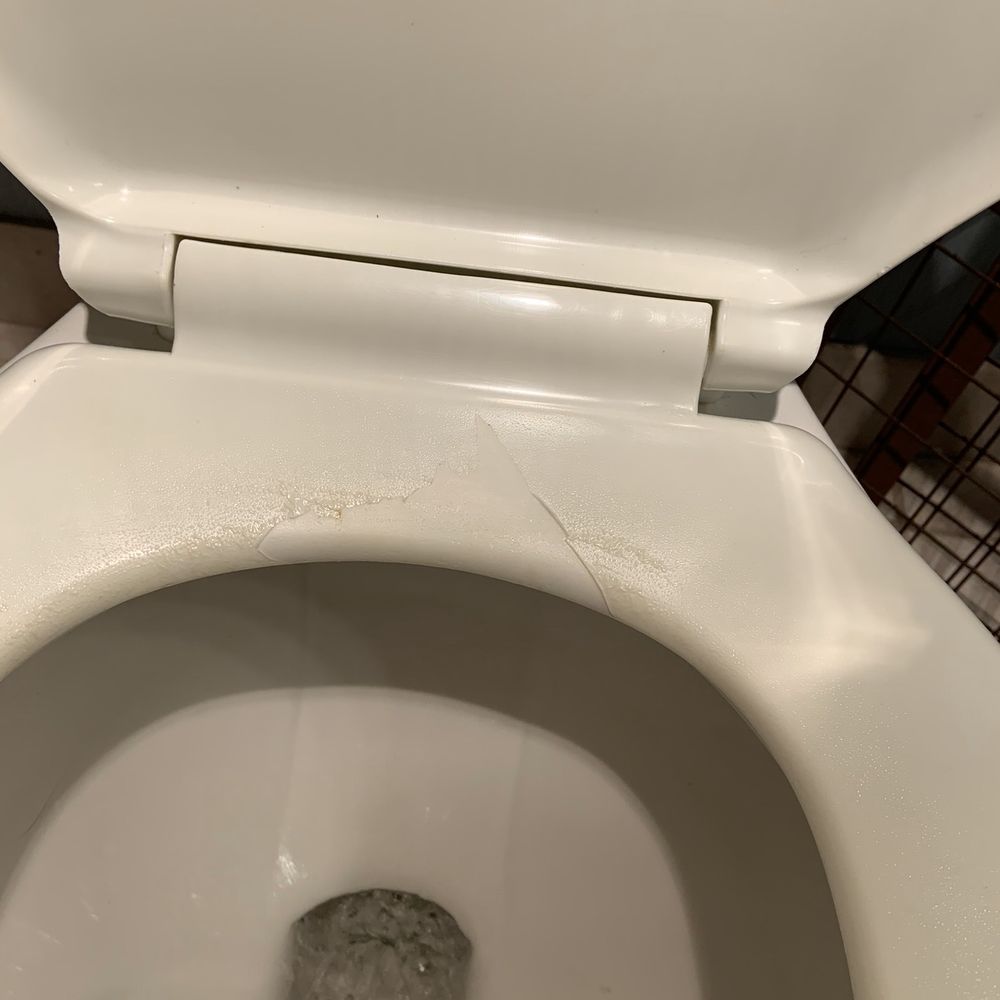 Wyndham Virginia Beach Oceanfront - Gross peeling rickety toilet seat - Hotels Near Me - Virginia Beach, Virginia Wyndham Virginia Beach Oceanfront - Gross peeling rickety toilet seat - Hotels Near Me - Virginia Beach, Virginia