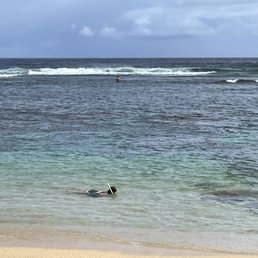 Snorkeling- shallow and fun