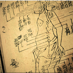 Skin Therapy Center