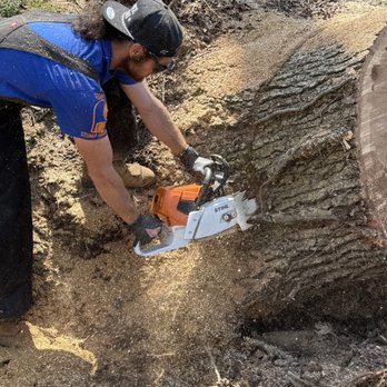 Stone's Stump Grinding - Tree Services Near Me - Taylors, South Carolina Stone's Stump Grinding - Tree Services Near Me - Taylors, South Carolina