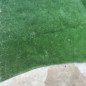Luna’s western landscape - Weeds growing in turf, look at the patches - Masonry/Concrete Near Me Luna’s western landscape - Weeds growing in turf, look at the patches - Masonry/Concrete Near Me