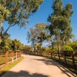 Solutions Through Horses Equine Therapy