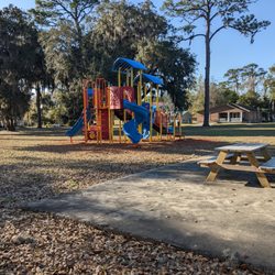 Palmetto Square