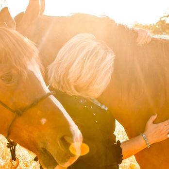C3 Ranch - Happy boys... beautiful space - Horse Boarding Near Me - Shingle Springs, California C3 Ranch - Happy boys... beautiful space - Horse Boarding Near Me - Shingle Springs, California
