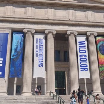 Field Museum - Museums Near Me - Chicago, Illinois