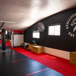 Stallion Arena Fitness - 2nd Floor weights / Stretching Area