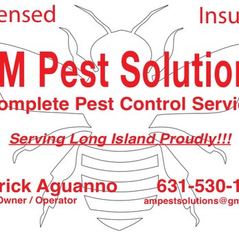 Am Pest Solutions - Pest Control Near Me