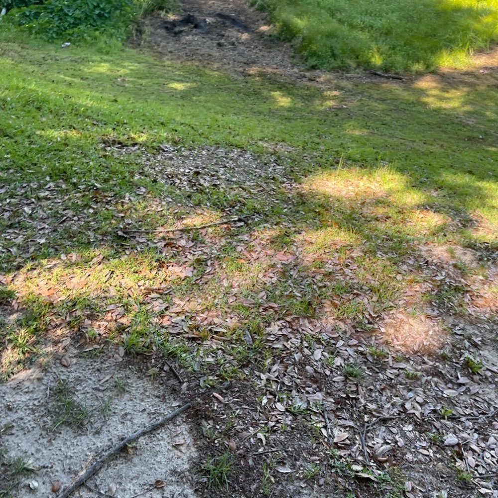 Hertz Children Park - Parks Near Me - Saraland, Alabama Hertz Children Park - Parks Near Me - Saraland, Alabama