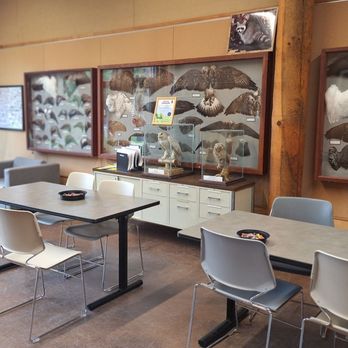 Five Rivers Environmental Center - Museums Near Me - Delmar, New York