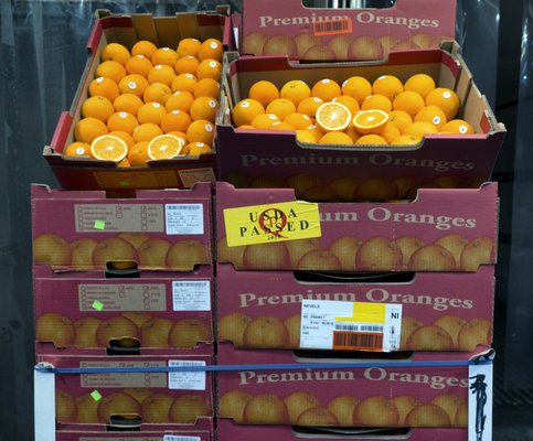 Hunts Point Produce Market by null