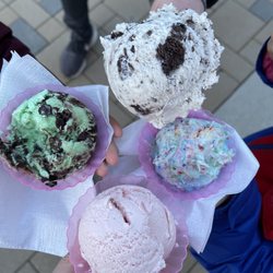 Chantilly - L-R: mint moose tracks, cookies and cream, birthday cake, strawberry