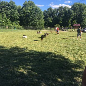 Reynold's Dog Park - Dog Parks Near Me - Phoenixville, Pennsylvania