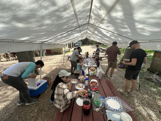 Carlson's Llovable Llamas by null