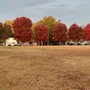 Photo of Lt. Colonel Sam Siler Veterans Park