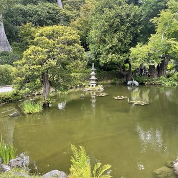 Japanese Tea Garden - Tea Rooms Near Me - San Francisco, California