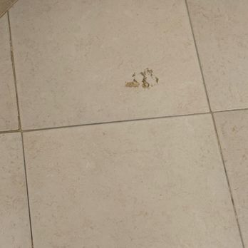 Catalonia Yucatán Beach - I cleaned bathroom floor - Hotels Near Me - Cancún, ROO