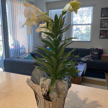 Trader Joe's - Here's another view of the flowers. Really fresh! - Grocery Near Me - Irvine, California