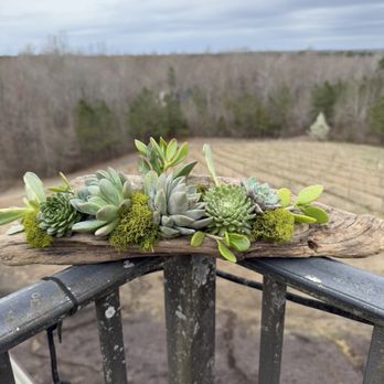 Saudé Creek Vineyards - Wineries Near Me - Lanexa, Virginia Saudé Creek Vineyards - Wineries Near Me - Lanexa, Virginia