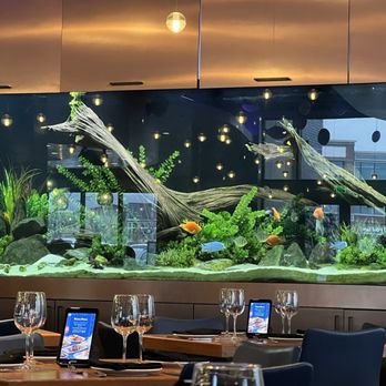 Kona Grill - Riverton - The fish tank! - Bars Near Me - Riverton, Utah Kona Grill - Riverton - The fish tank! - Bars Near Me - Riverton, Utah