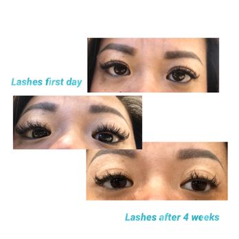 Lashes & Brows by Pauline - Eyelash Service Near Me - San Jose, California Lashes & Brows by Pauline - Eyelash Service Near Me - San Jose, California