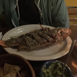 Red Snapper