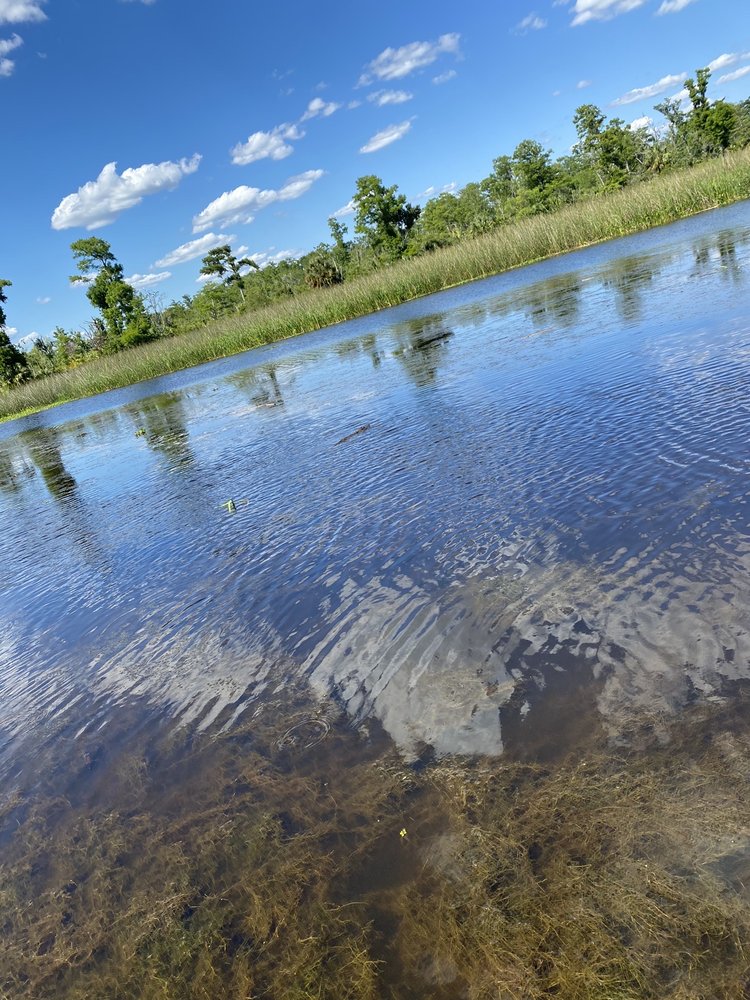 APALACHICOLA FAMILY AIRBOAT TOURS Updated September 2024 34 Photos